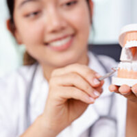 denturist demonstrating teeth cleaning on a model