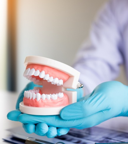 standard dentures a denturist holding a model of standard dentures
