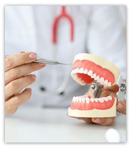 Denturist Showing model of teeth for denture relines and pointing with dental tools