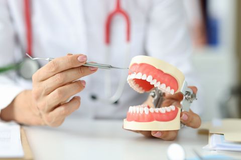 Denturist Showing model of teeth and pointing with dental tools Denturist in. white lab coat showing model of teeth and pointing with dental tools