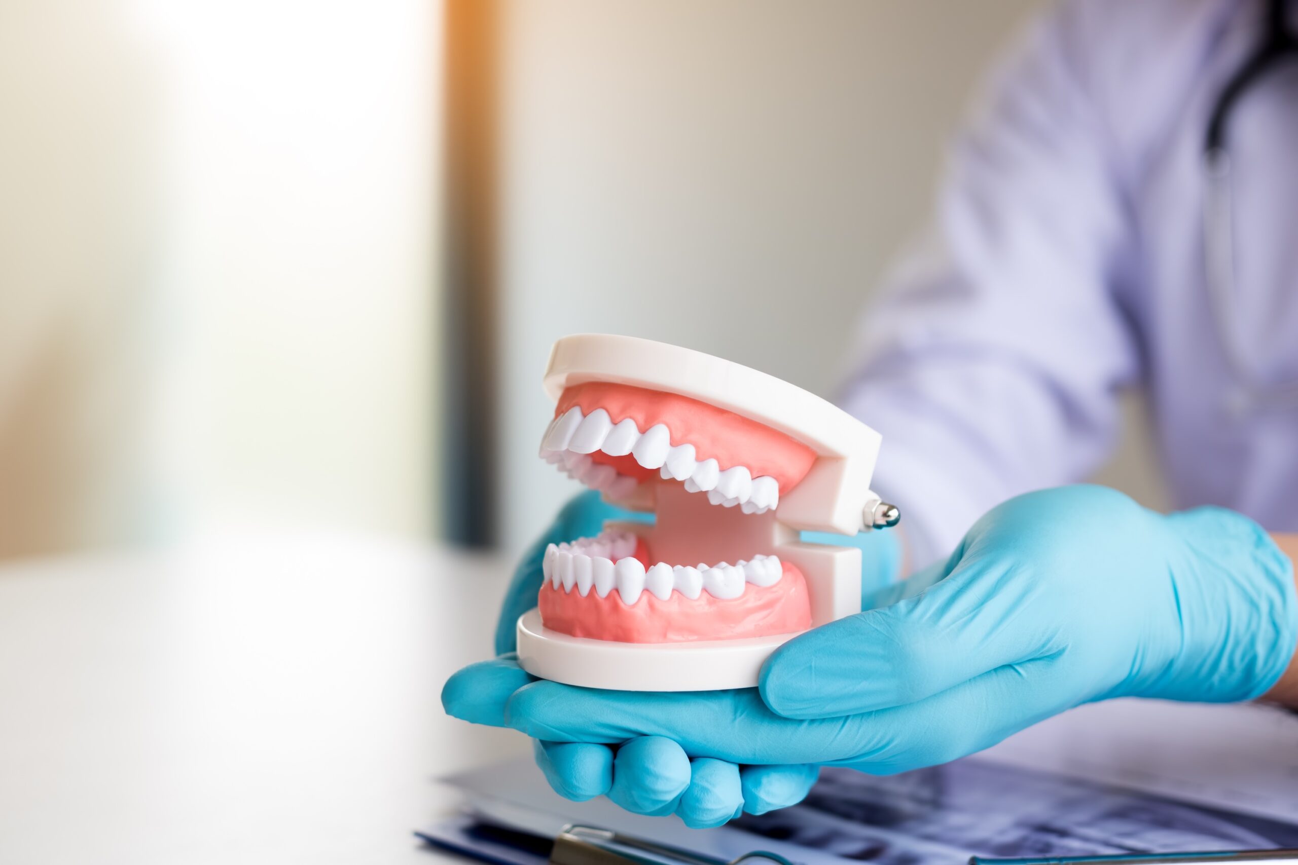 Dentist holding dentures in office room in belleville
